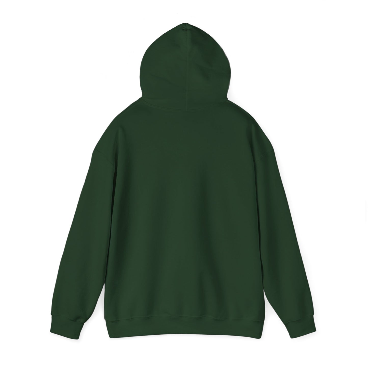 What does SUNY Oswego Listen to? Hoodie