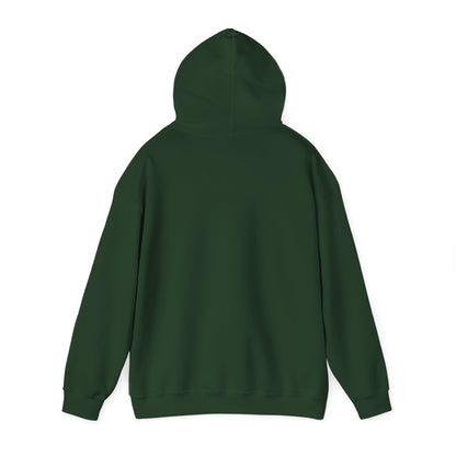 What does SUNY Oswego Listen to? Hoodie