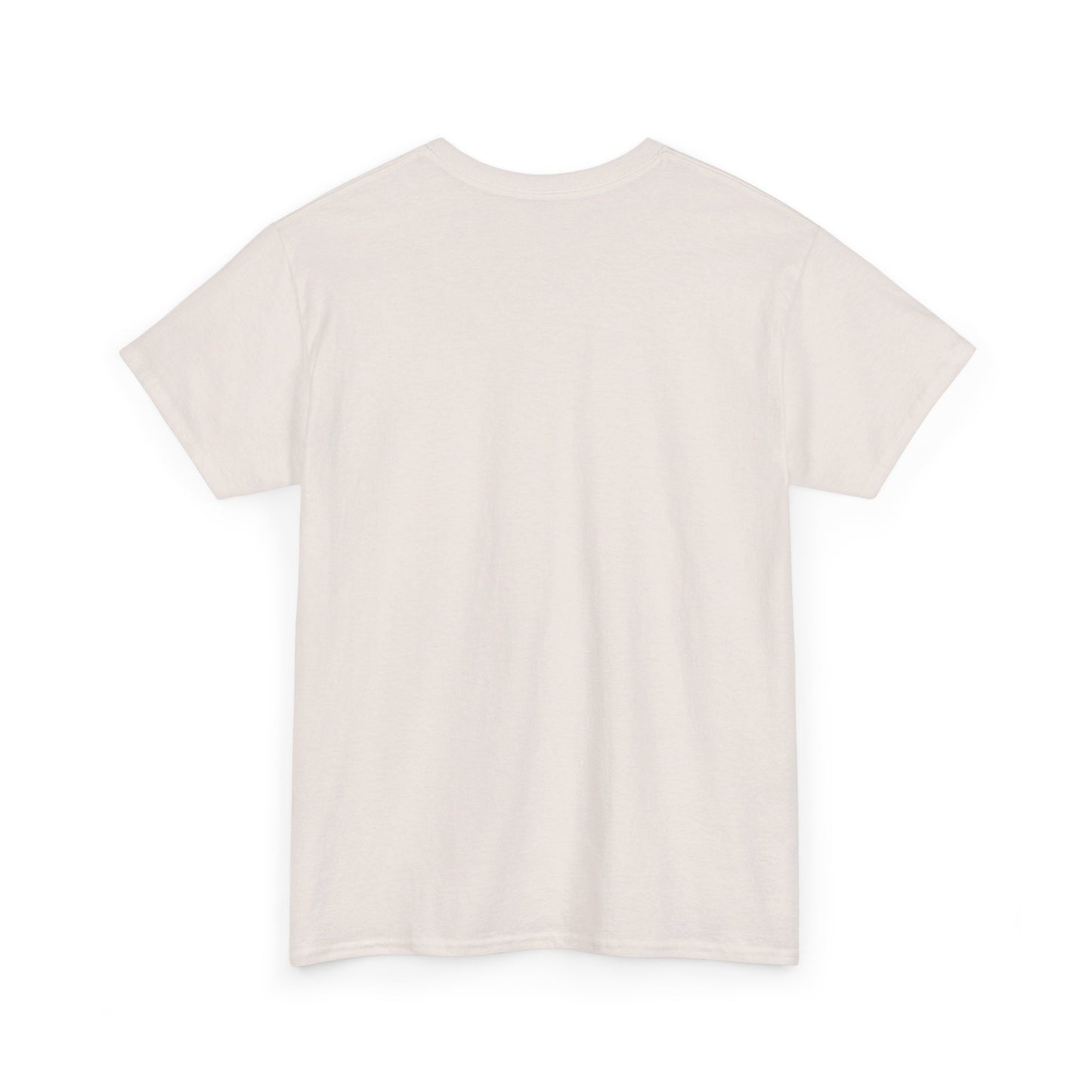 BSR Unisex Heavy Cotton Tee