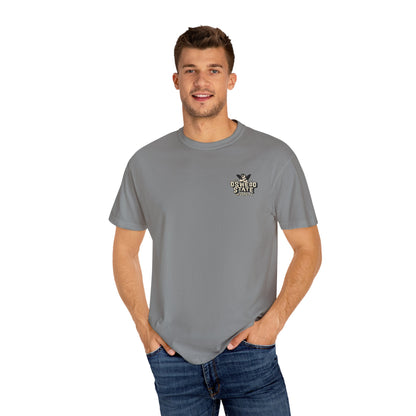 Oswego Angel Premium Unisex Tee