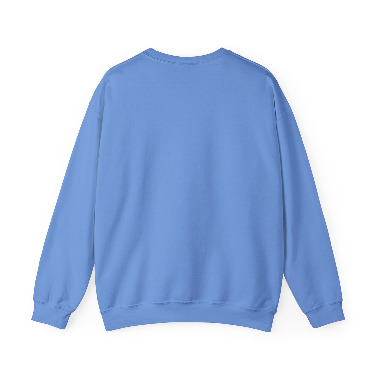 WDSOLT Sweatshirt